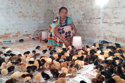 Internally displaced